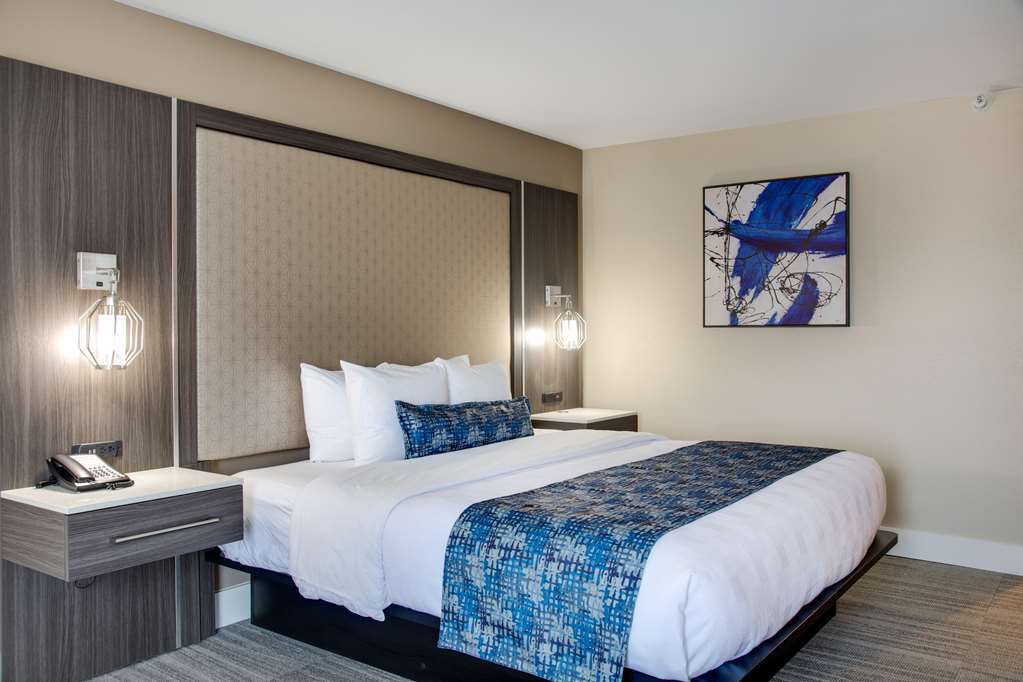 Best Western Plus Greenville I-385 Inn & Suites Rom bilde