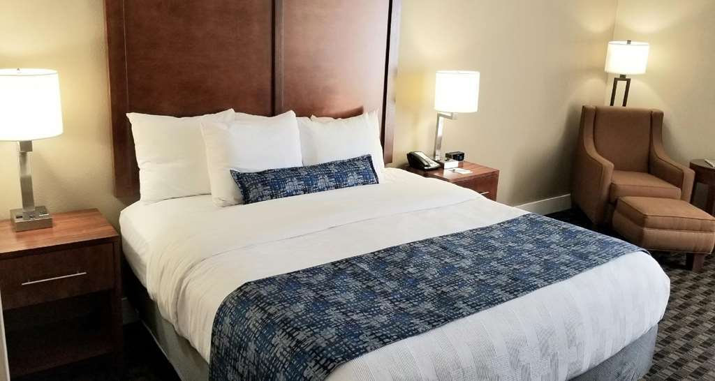 Best Western Plus Greenville I-385 Inn & Suites Rom bilde
