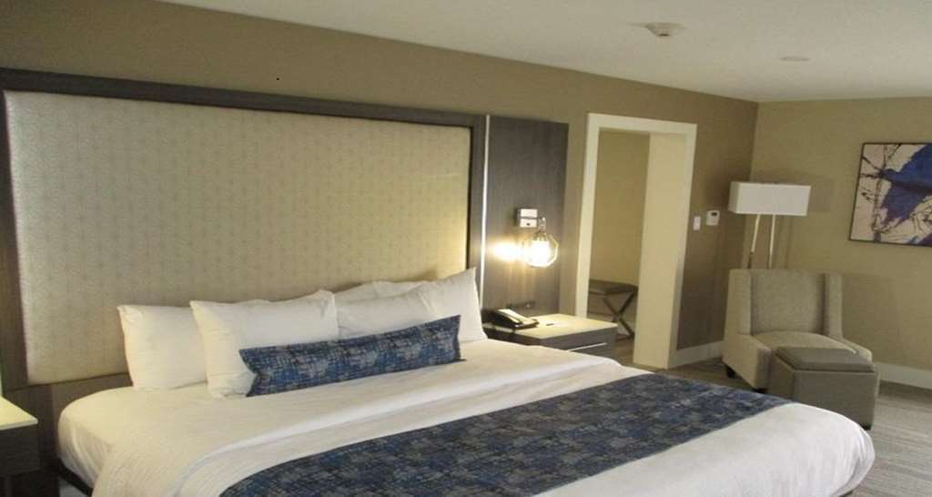 Best Western Plus Greenville I-385 Inn & Suites Rom bilde